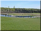 PICT0060.jpg