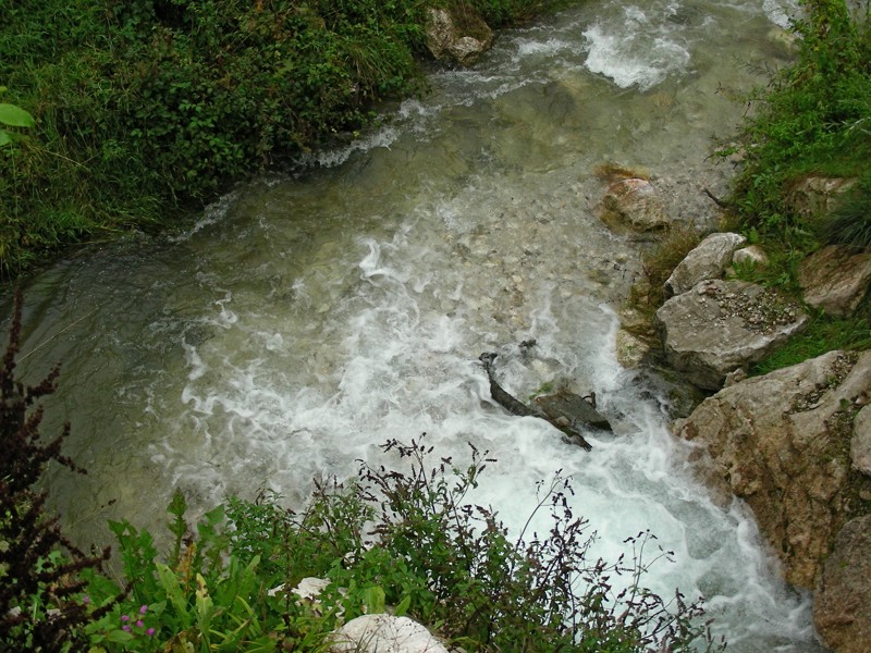 DSCN1847.JPG