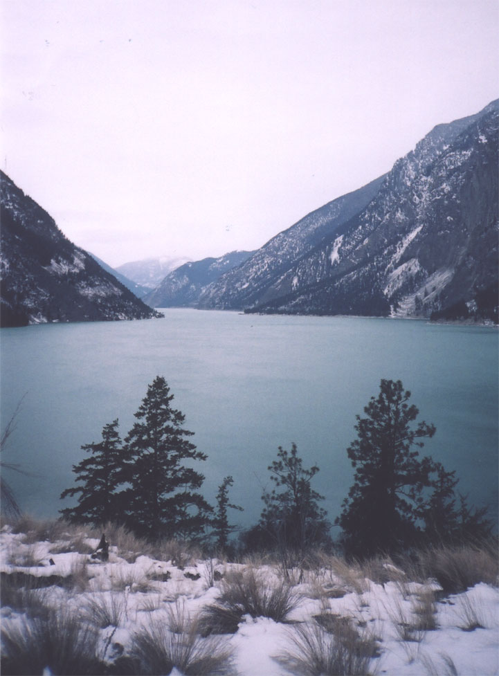 nature12.jpg