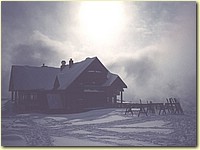 skiing14