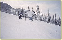 skiing19