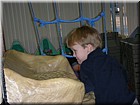 DSCN0386.JPG