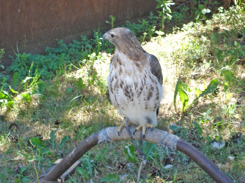 DSC01142.jpg