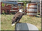 DSC01140.jpg