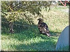 DSC01141.jpg