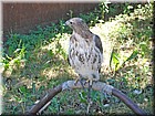 DSC01142.jpg