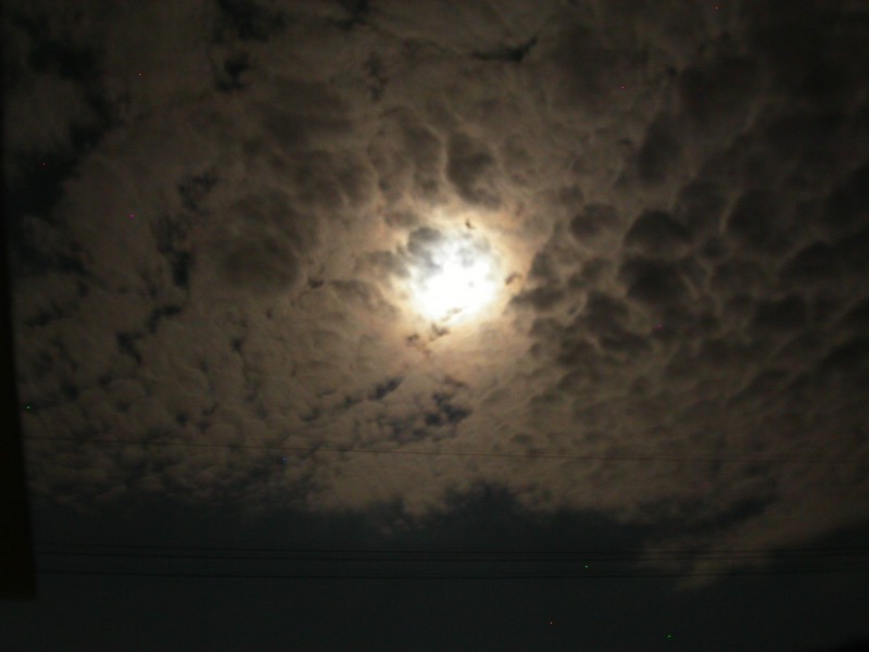 PICT0023.JPG