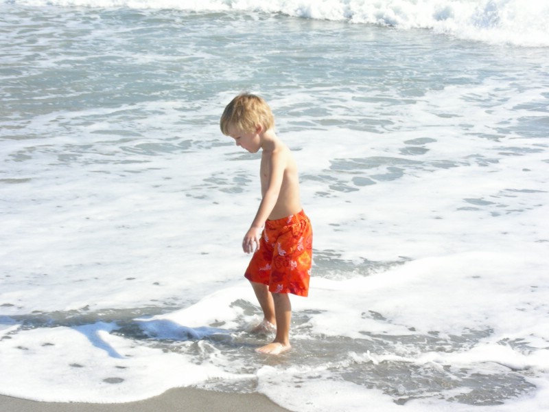 DSCN2584.JPG