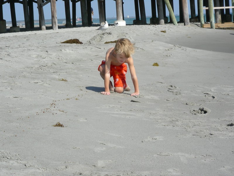 DSCN2601.JPG