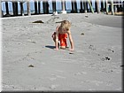 DSCN2601.JPG