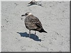 DSCN2620.JPG