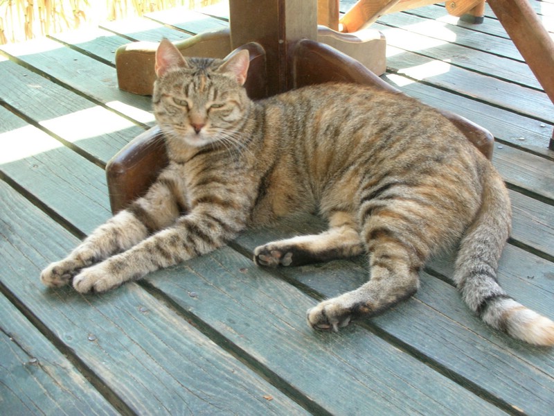 DSCN1242.JPG