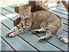 DSCN1242.JPG
