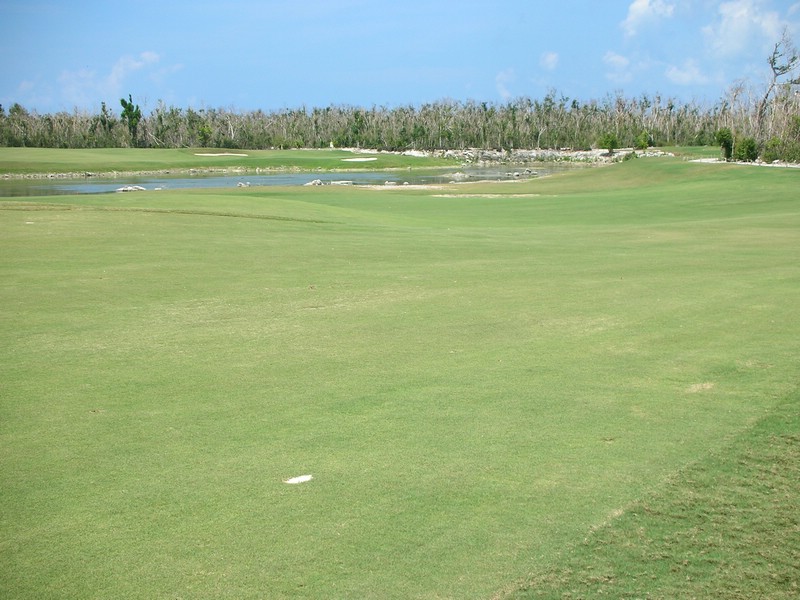 DSCN0685.JPG