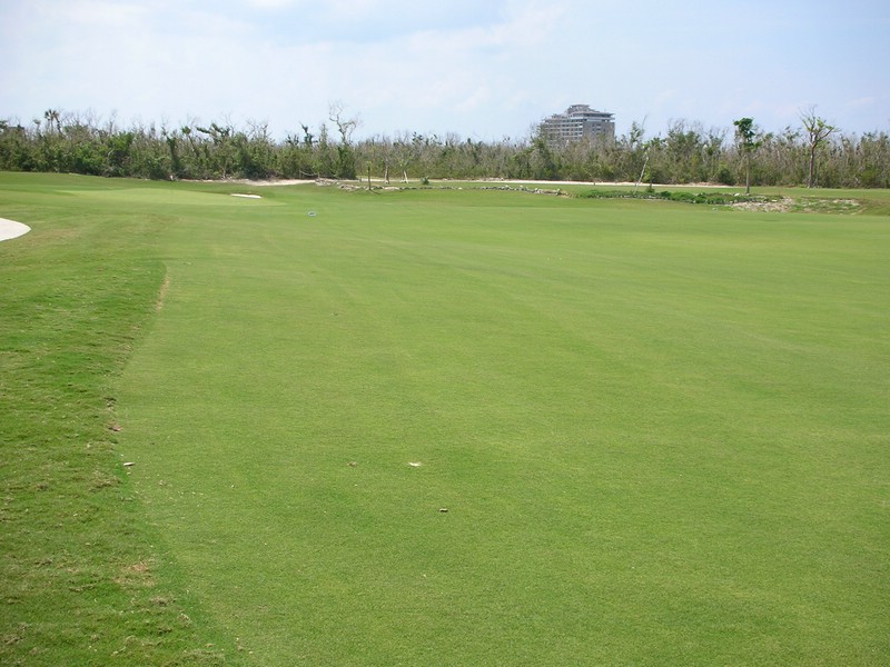 DSCN0686.JPG