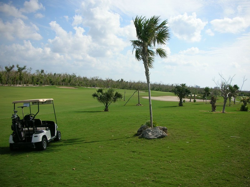 DSCN0693.JPG