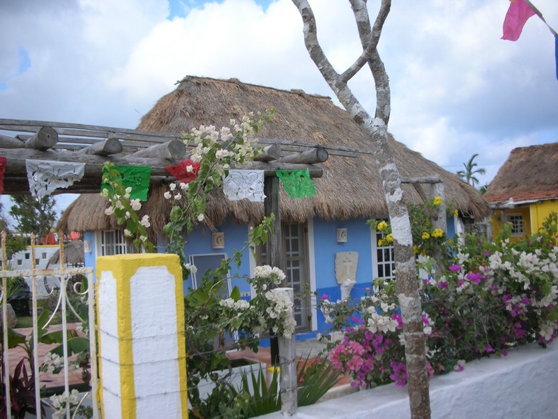 DSCN0716.JPG