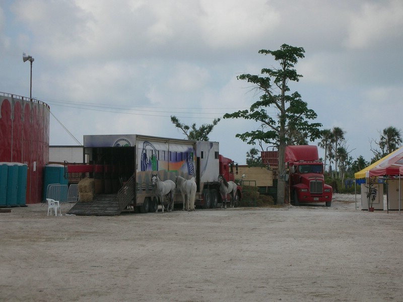 DSCN0719.JPG