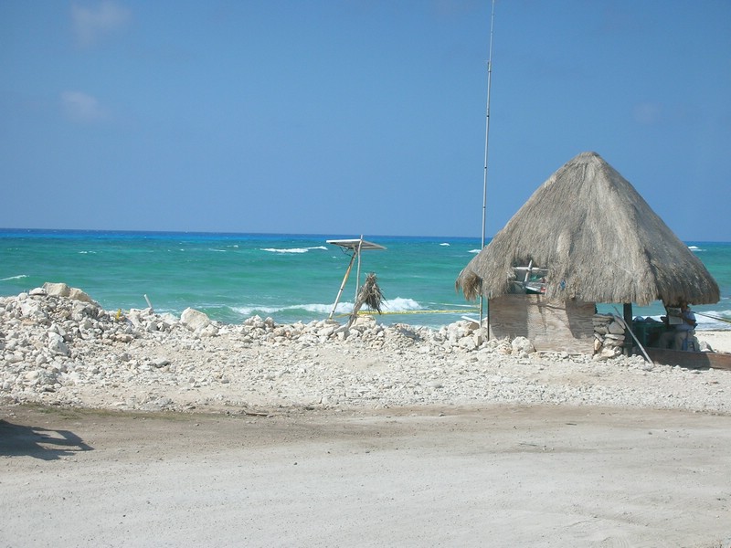DSCN0732.JPG
