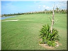 DSCN0694.JPG