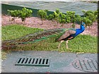 DSCN0709.JPG