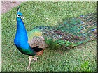 DSCN0711.JPG