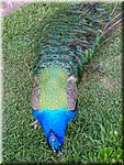 DSCN0713.JPG
