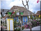 DSCN0716.JPG