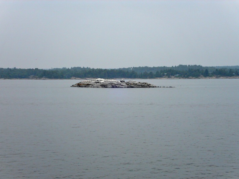 PICT0268.jpg