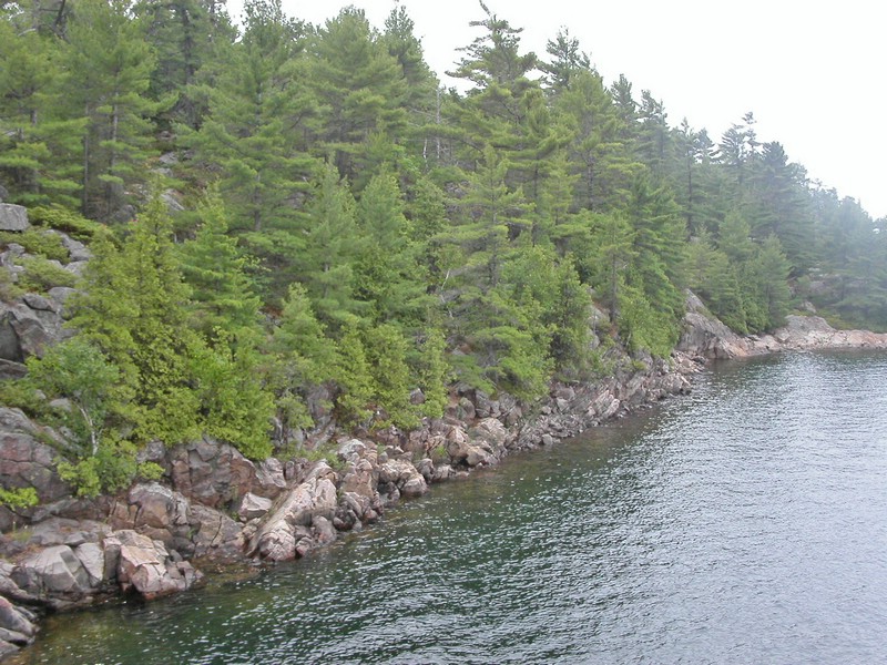 PICT0276.jpg