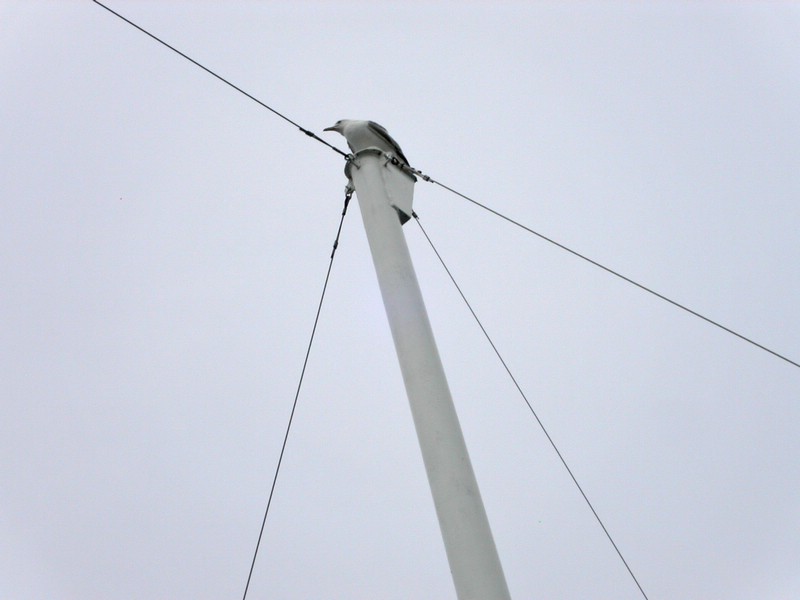 PICT0277.jpg
