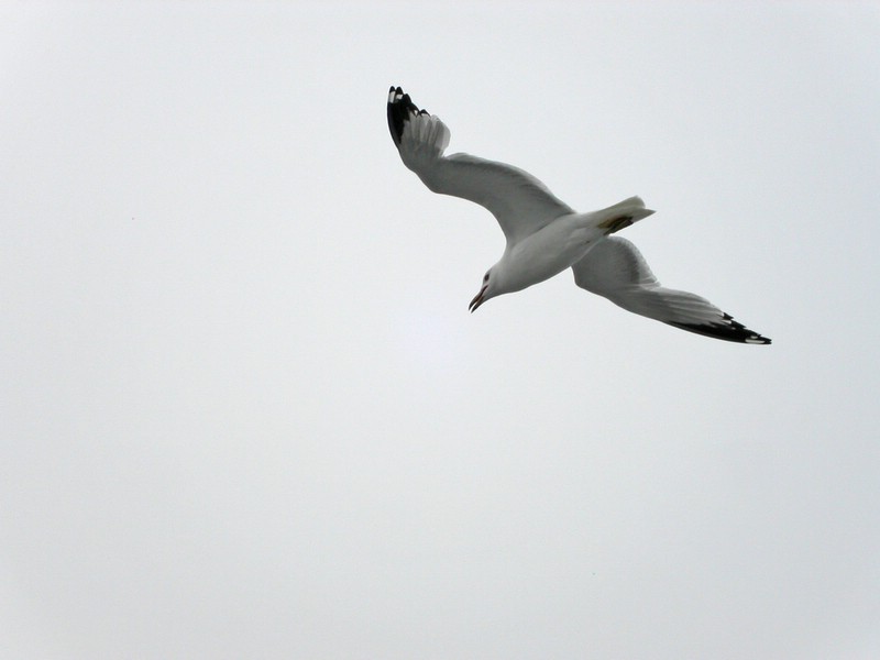 PICT0282.jpg