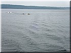 PICT0269.jpg