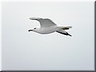PICT0285.jpg