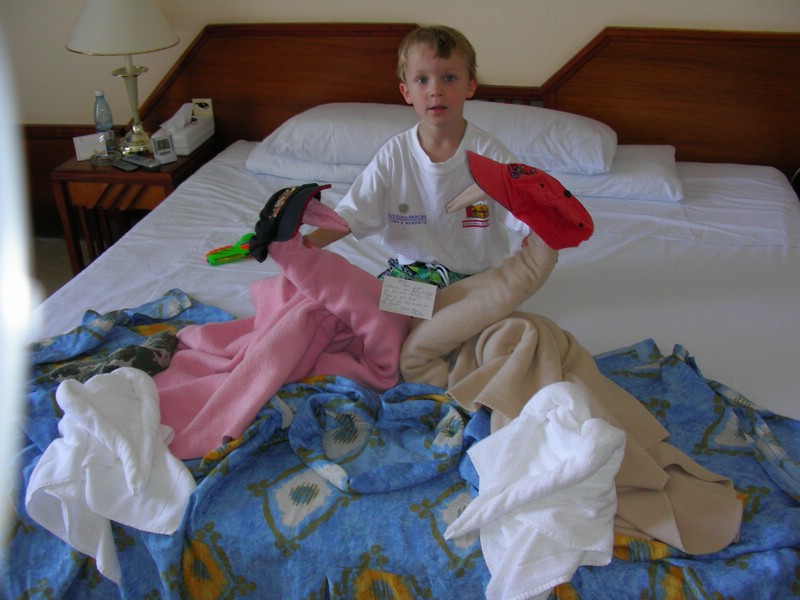 DSCN0736.JPG