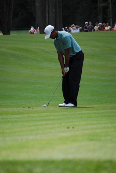 aDSC_0042.JPG