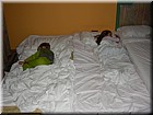 DSCN1959.JPG