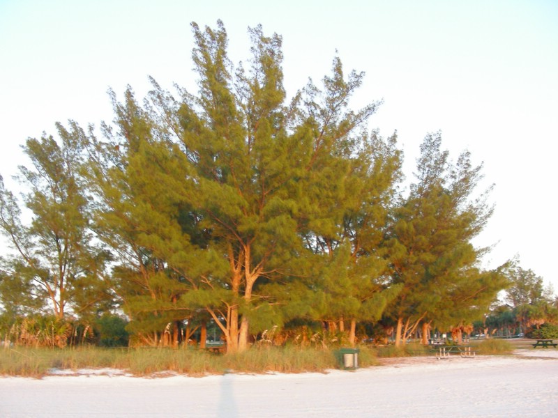 DSCN0228.JPG