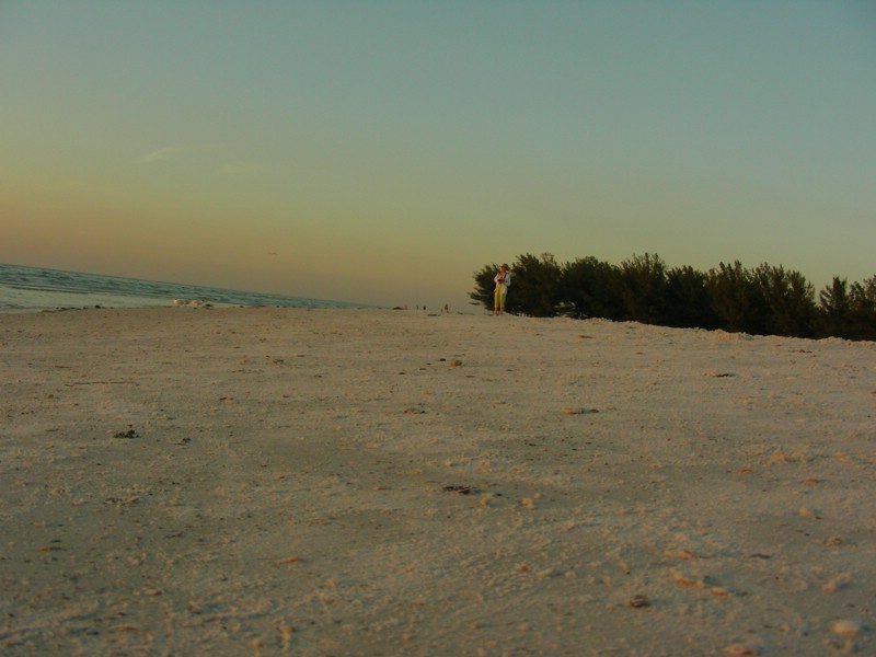 DSCN0229.JPG