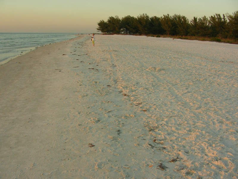 DSCN0231.JPG