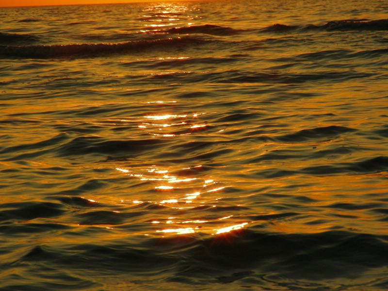 DSCN0233.JPG