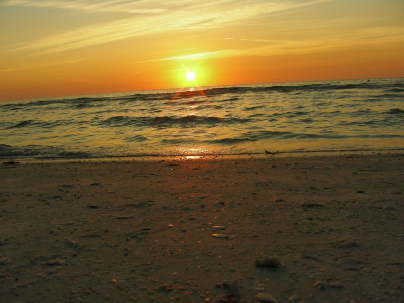 DSCN0236.JPG