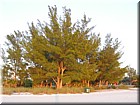 DSCN0228.JPG