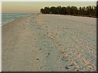 DSCN0231.JPG