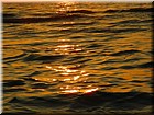 DSCN0233.JPG