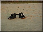 DSCN0239.JPG