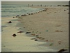 DSCN0240.JPG
