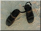 DSCN0241.JPG