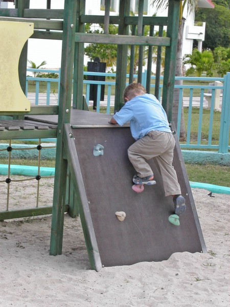 PICT0017.JPG