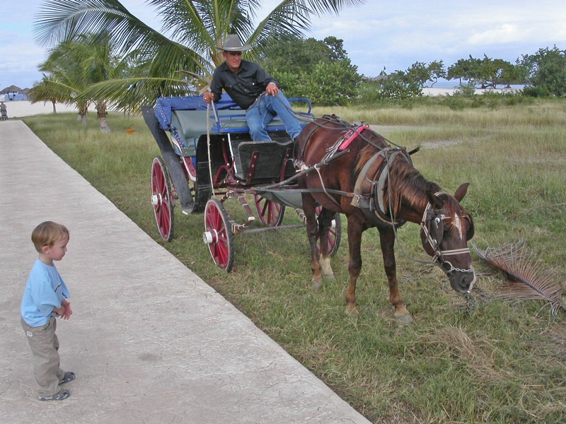 PICT0022.JPG